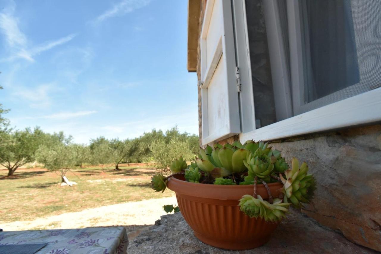 Cottage Rugonj Stari Grad  Eksteriør bilde